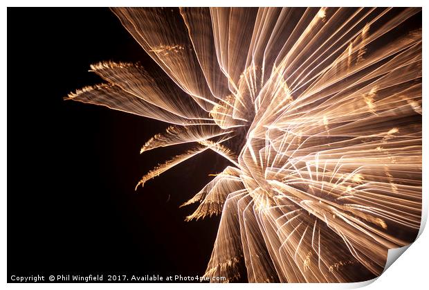 Firework long exposure Print by Phil Wingfield