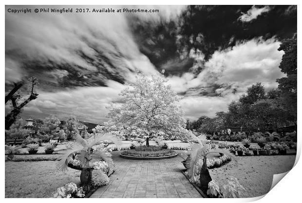 Garden of the Cau Dai Cathedral nr Saigon Print by Phil Wingfield