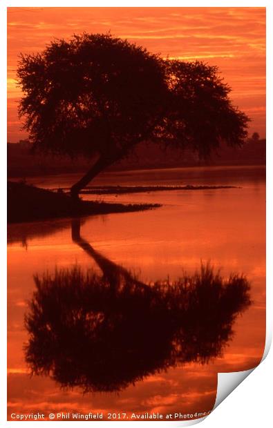 Sunset in Ujjain Print by Phil Wingfield