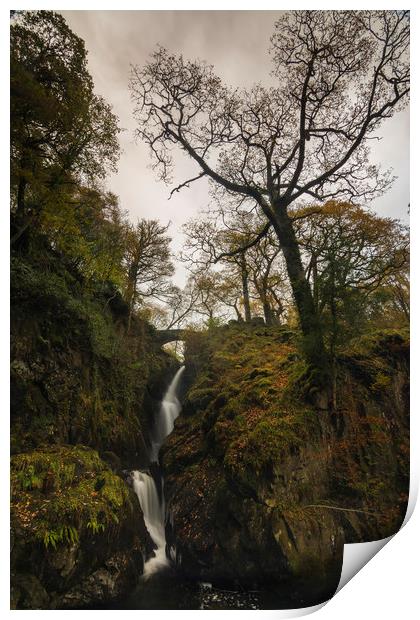 Aira Force Falls Lake District Print by Mark Hawkes