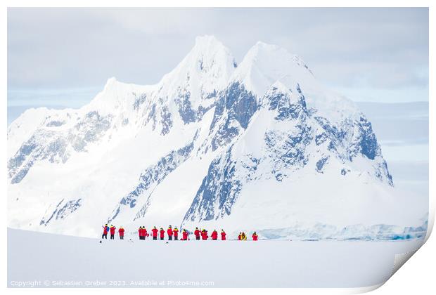 Penguin spectating at Petermann Island Print by Sebastien Greber