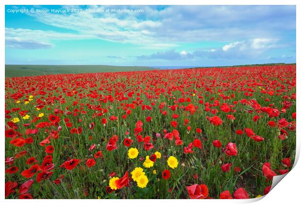 West Pentire Poppy Field in Cornwall Print by Simon Maycock