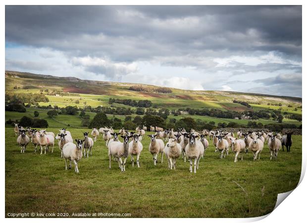 Ladies of the Dales Print by kevin cook