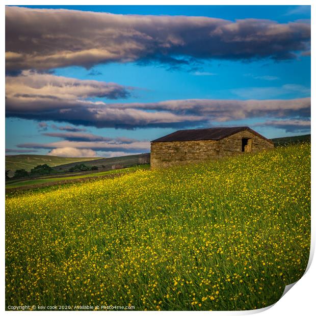 Buttercup Barn Print by kevin cook