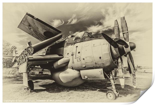 Fairey Gannet Print by kevin cook