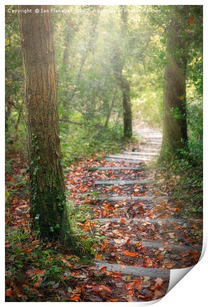 Autumn Steps Print by Ian Flanagan