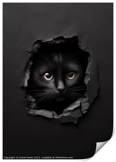 Cat peeking Print by David Owen