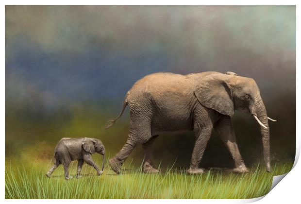 Elephant and young Print by David Owen