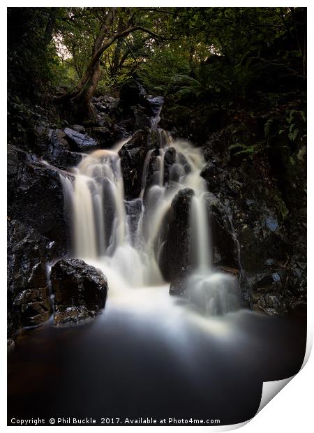 Cat Gill Waterfall Print by Phil Buckle