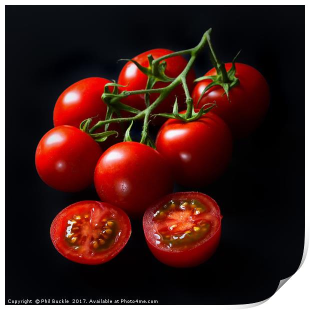 Vine Tomatoes Print by Phil Buckle
