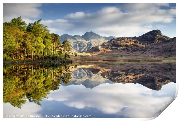 The Langdale Pikes Reflecting Print by Phil Buckle
