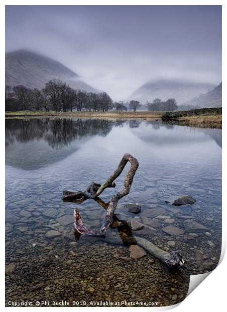 Brothers Water Branch Print by Phil Buckle