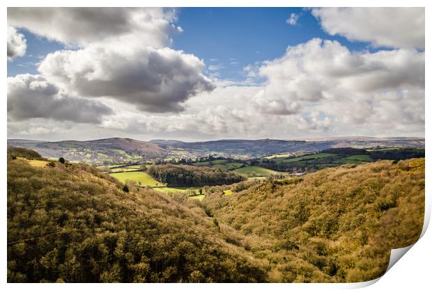 Dartmoor hills and valleys Print by Alf Damp