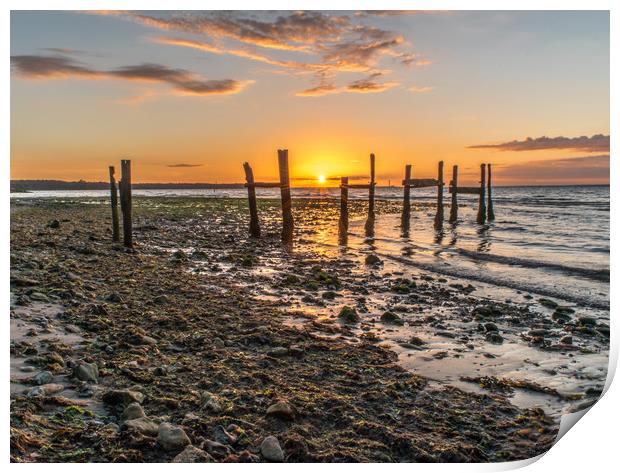 Derelict Jetty sunset Print by Alf Damp