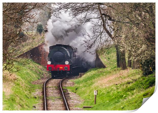 Steaming through the countryside Print by Alf Damp