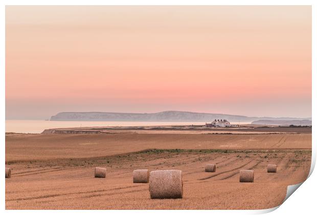 Dusk and round bales Print by Alf Damp