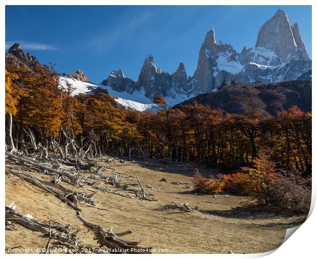 Patagonian Landscape Print by David O'Brien