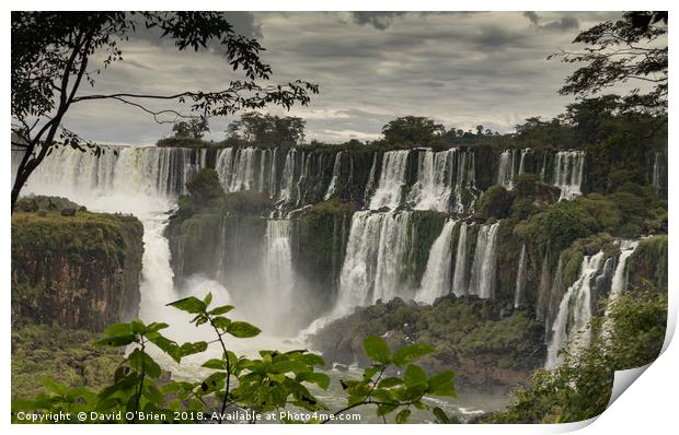 Iguazu Falls Print by David O'Brien