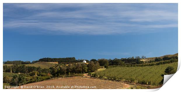 Winery Landscape, Hermanus, South Africa Print by David O'Brien