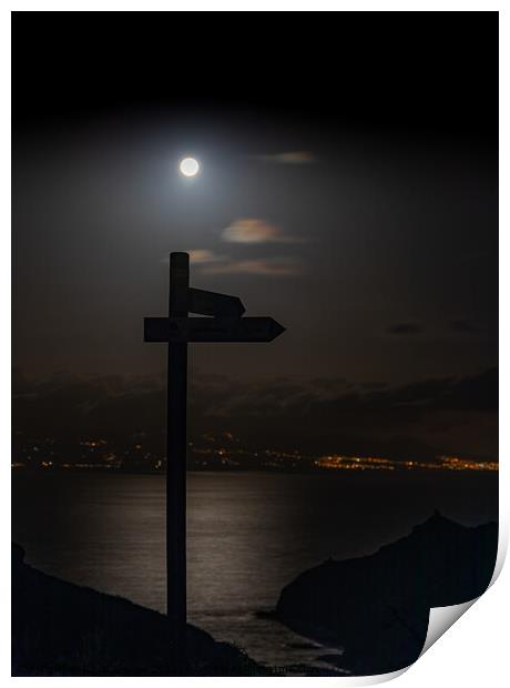 Signpost by moonlight Print by David O'Brien