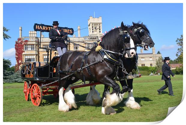 Shire Horses and Brewery Dray Print by Alan Barnes