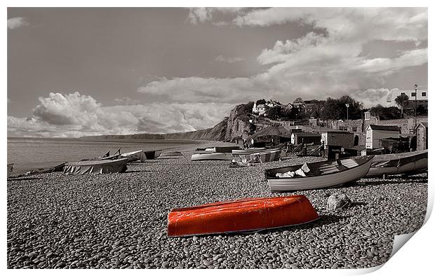 Budleigh beach Print by Malcolm Smith