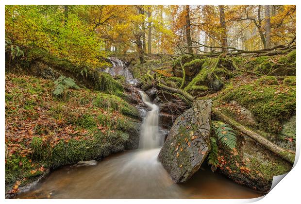 Nant Gwyllt Waterfall Autumn touches, Elan Valley Print by Sorcha Lewis