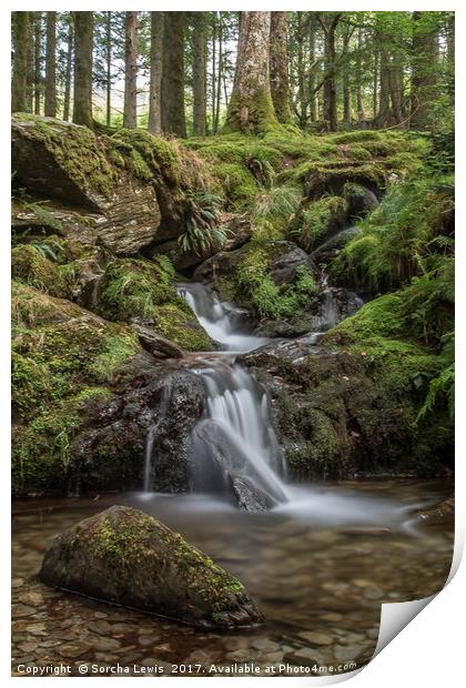 Upland Woodland Stream and waterfall, Elan Valley Print by Sorcha Lewis