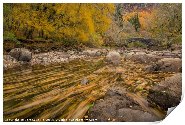 Autumn Rivers in Liquid Gold - Elan Valley Print by Sorcha Lewis
