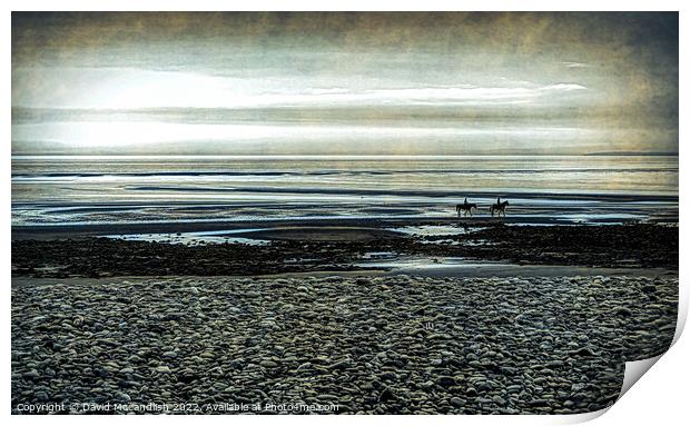 Canter on Beach Print by David Mccandlish