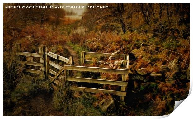 Ardinning Loch Path Print by David Mccandlish