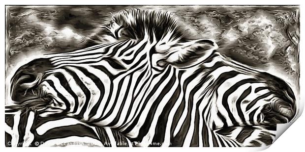A Tale of Two Zebras Print by David Mccandlish