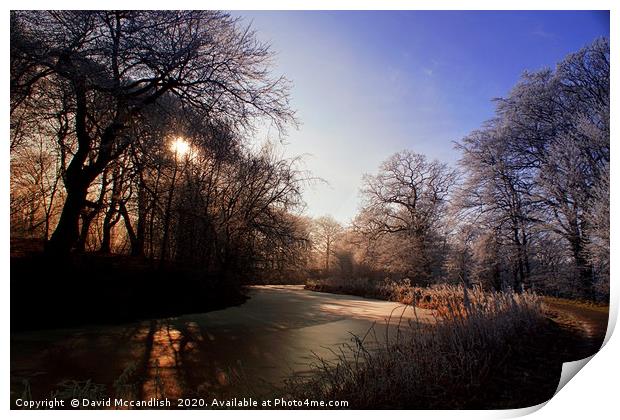        Frozen Forth and Clyde Canal  (2)           Print by David Mccandlish
