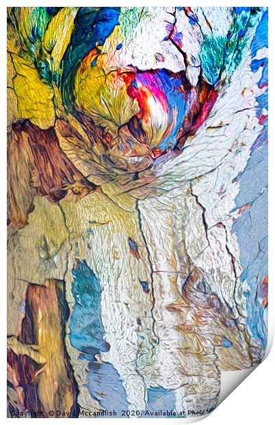    Art in Trees    (2)                         Print by David Mccandlish