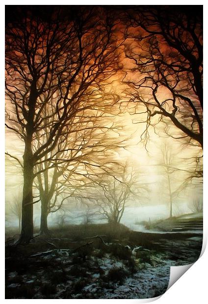 Woods in Winter Fog Print by David Mccandlish