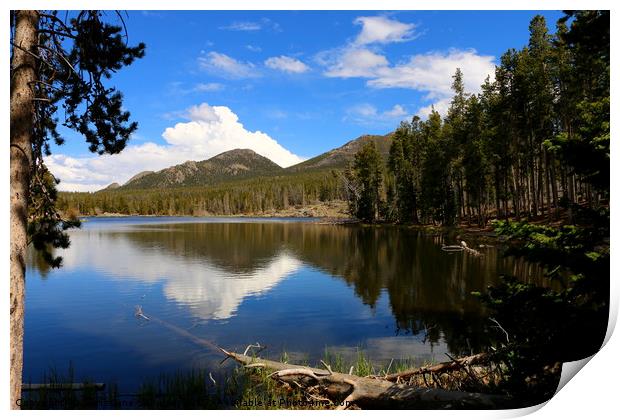 Dreamy Lake in The Rockies Print by Christiane Schulze