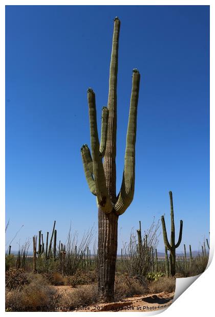 Reaching For The Sky  Print by Christiane Schulze