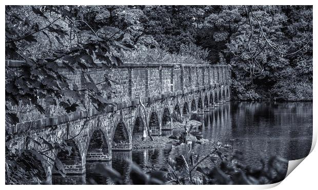 The nineteen arches at Carr Mill Dam St Helens Print by Andrew George