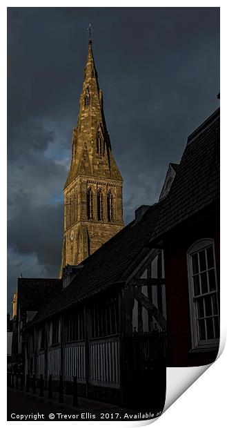 Leicester Cathedral in the evening Light  Print by Trevor Ellis