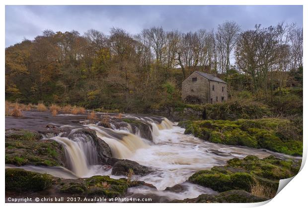 Cenarth Falls Print by chris ball