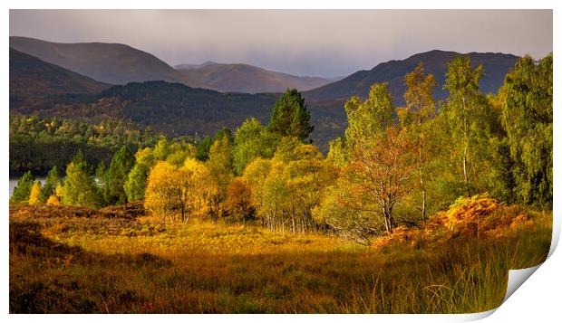 Glen Affric Autumn Panorama Print by John Frid