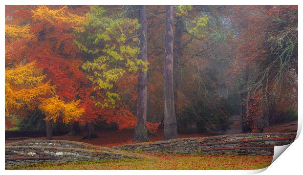 Ness Islands Autumn Beauty Print by John Frid