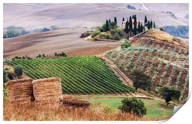 Belvedere Val D'Orcia, Tuscany Print by John Frid
