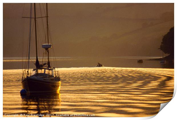 Golden Ripples on the River Dart Print by Paul F Prestidge