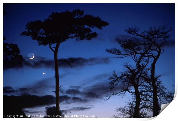 Moon and Trees in Winter Print by Paul F Prestidge