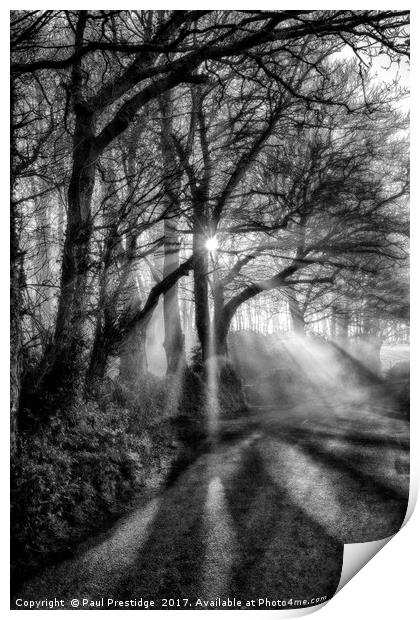 Shafts of Light in a Devon Lane Print by Paul F Prestidge
