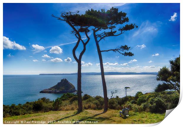 Thatcher Rock. Torbay Print by Paul F Prestidge