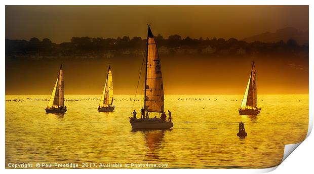 Yachts at Sunset Print by Paul F Prestidge