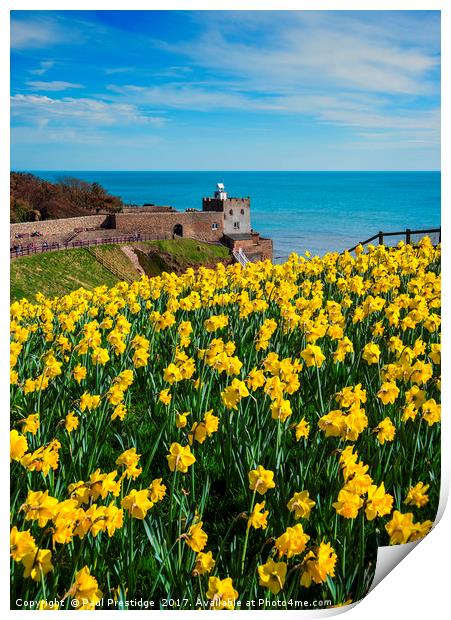 Daffodils at Sidmouth Jurassic Coast, Devon Print by Paul F Prestidge