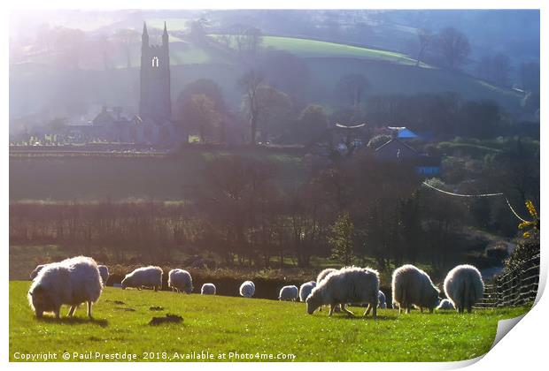 Sheep at Widecombe-in-the-Moor  Print by Paul F Prestidge